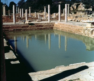 View of the Baths by Roman